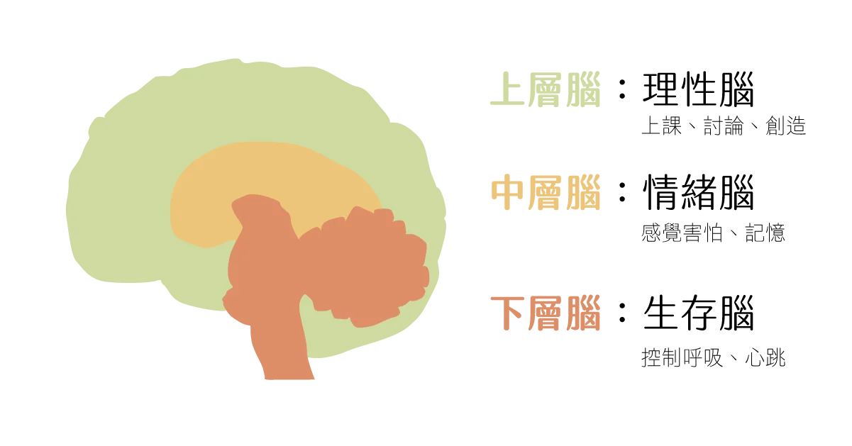 工作區域 204 1