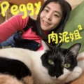 Iloveimg 下載文檔 1 趙珮宇