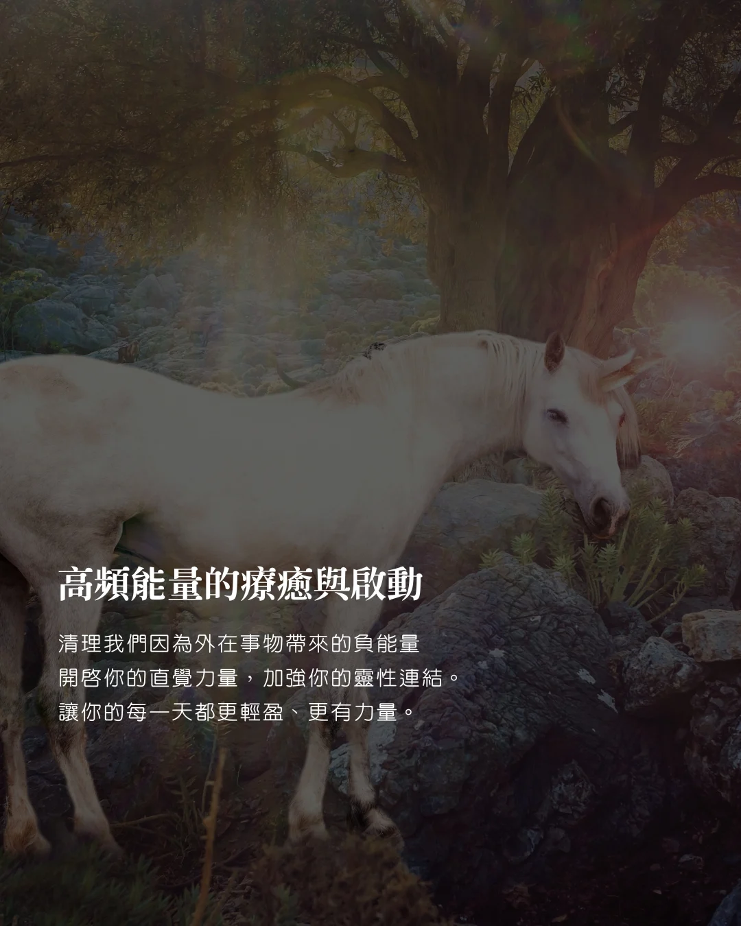 Line Album 已製圖 250920 3