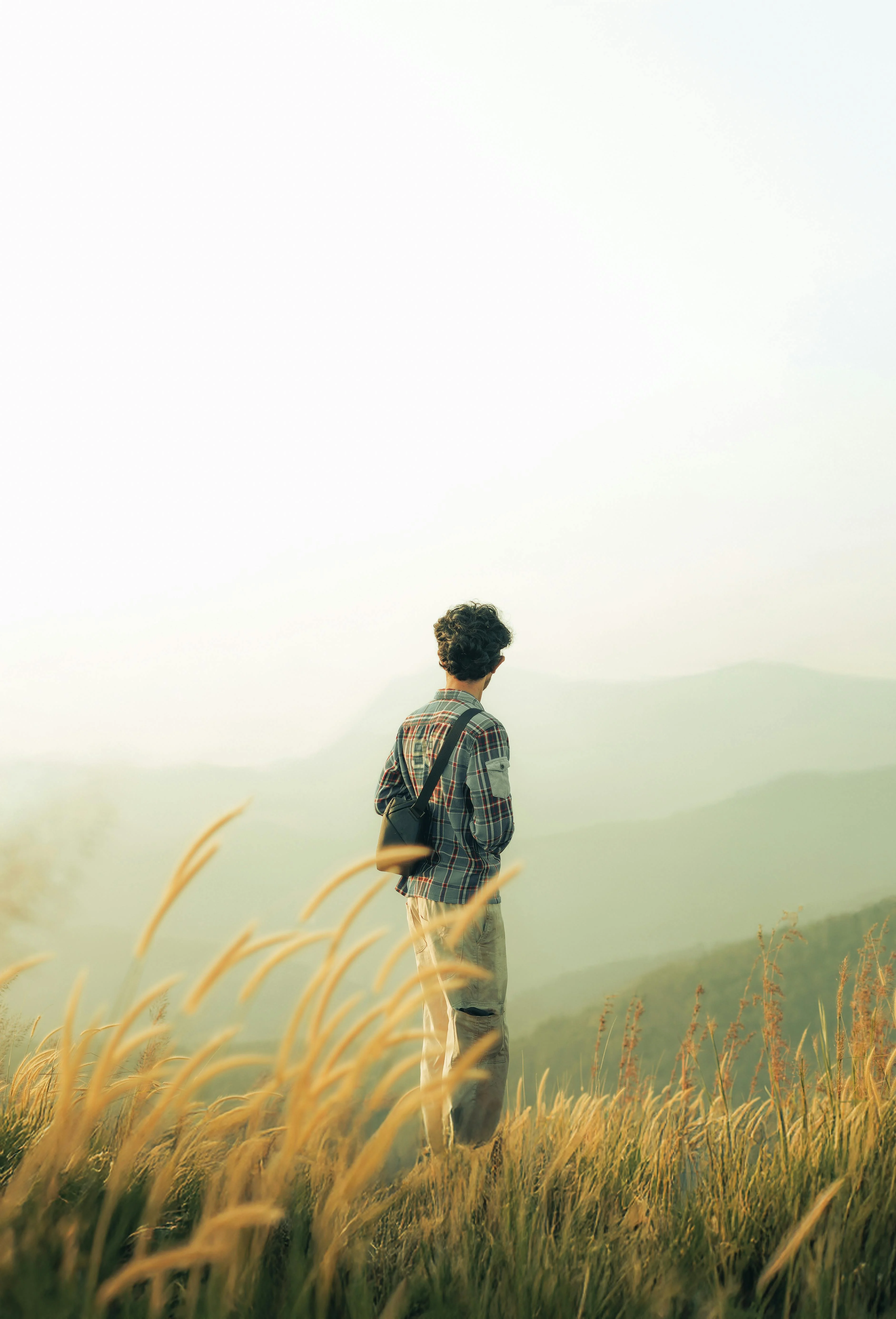 Pexels Jeev 33914882