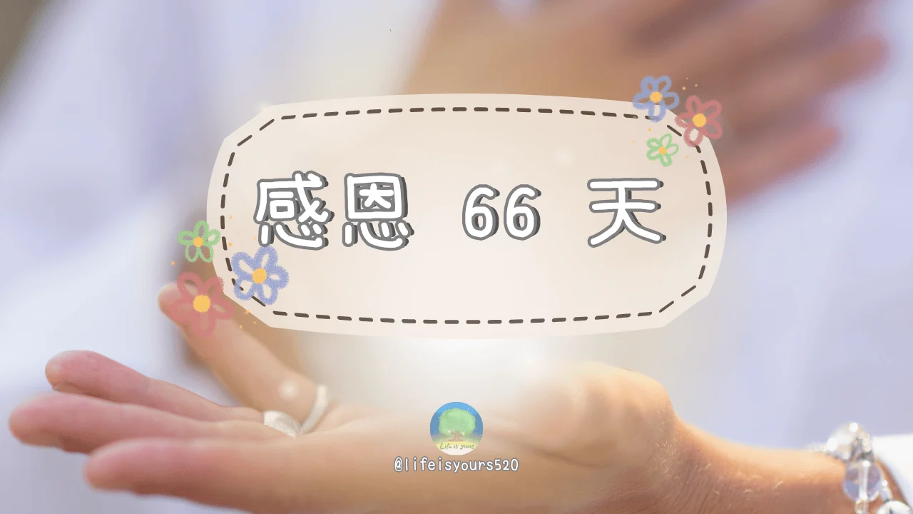 感恩活動