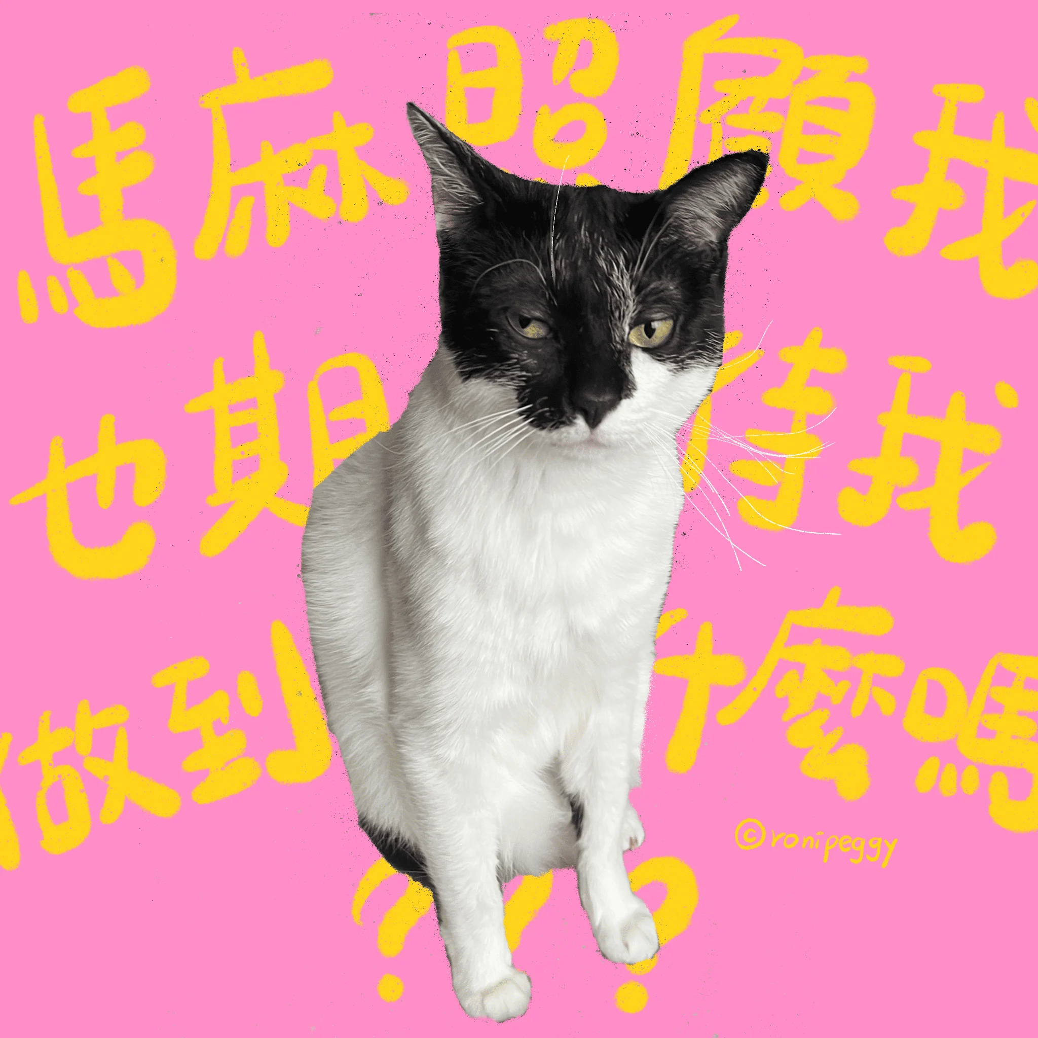 Iloveimg 下載文檔