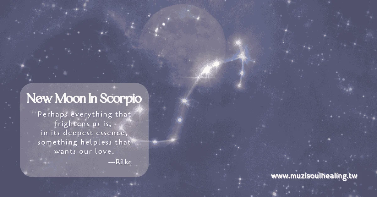 Neutral Moon Beach Sunset Quote Love Phone Wallpaper