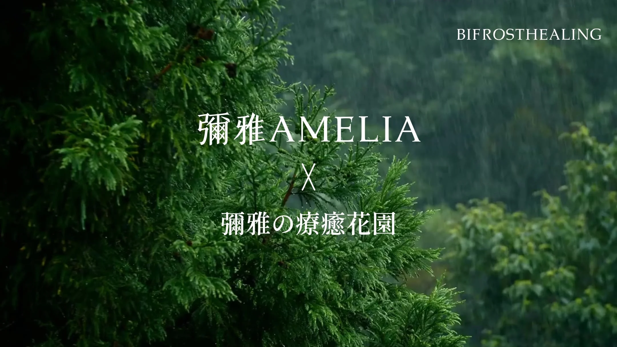 Bifrosthealing Article Banner