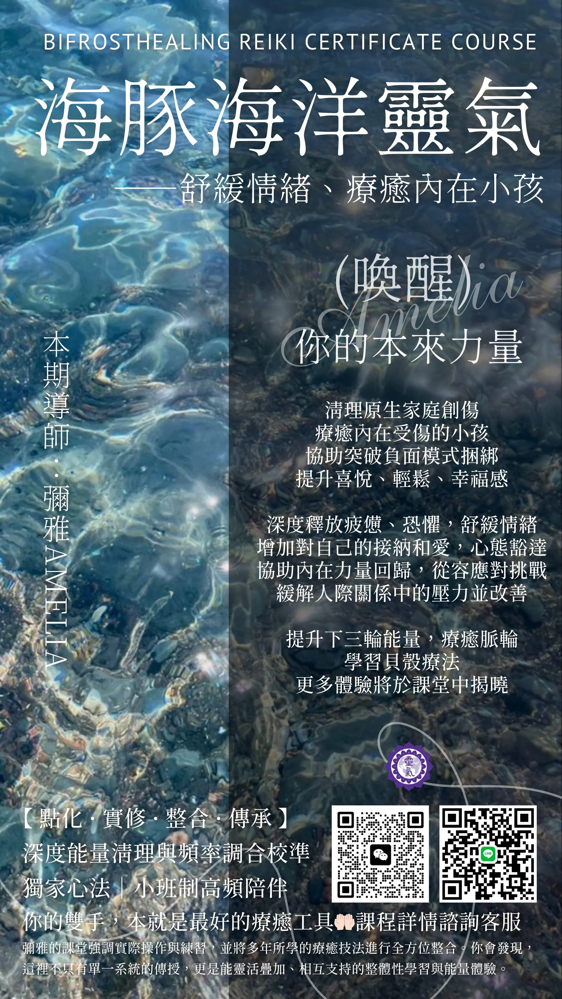 海豚海洋靈氣