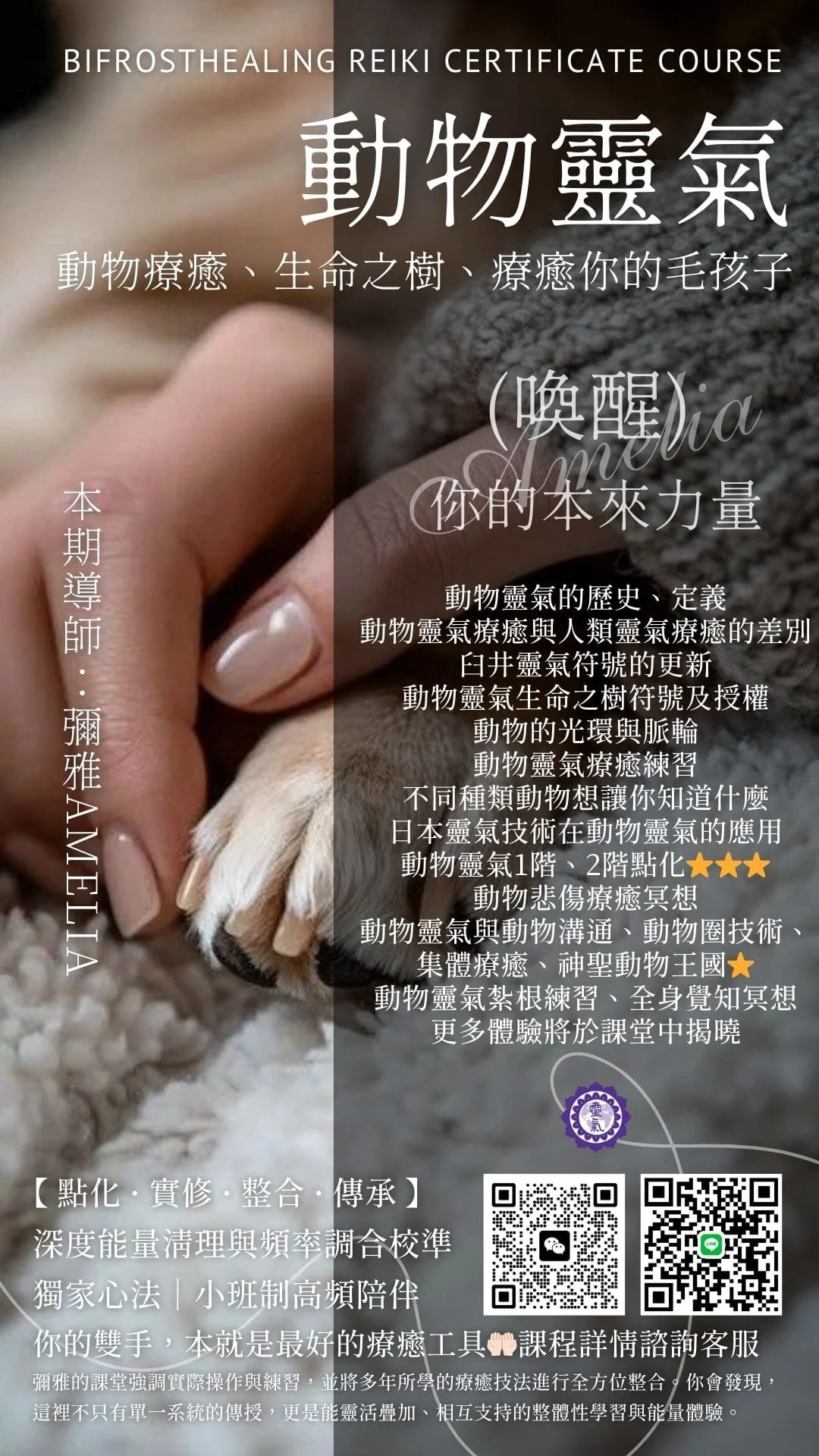 動物靈氣|動物療癒、生命之樹、療癒你的毛孩子
